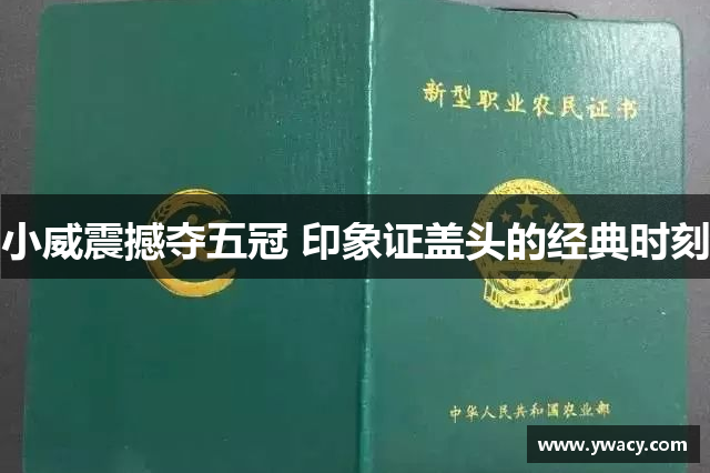 小威震撼夺五冠 印象证盖头的经典时刻